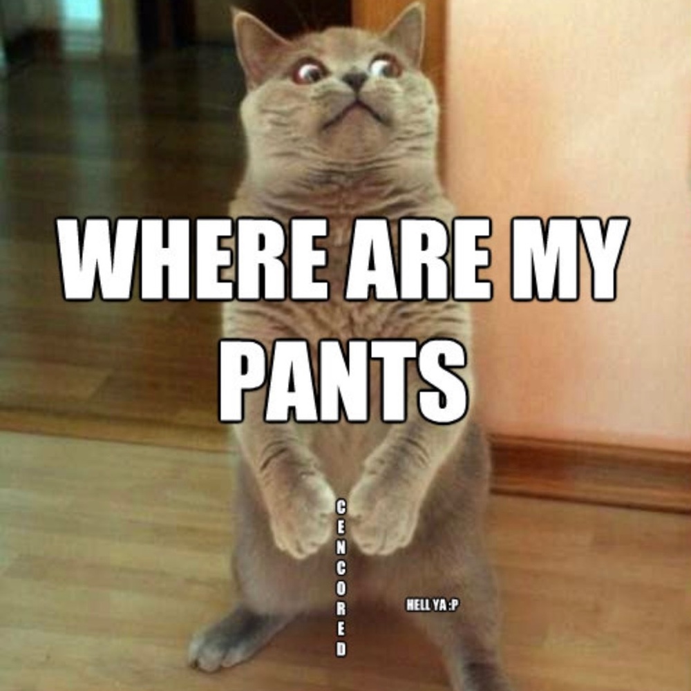 Need pants? Check out my closet 👖